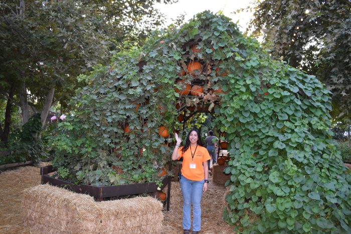 Garden Walk Through - Image 3