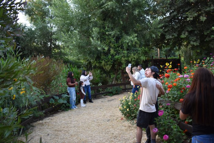 Garden Walk Through - Image 4