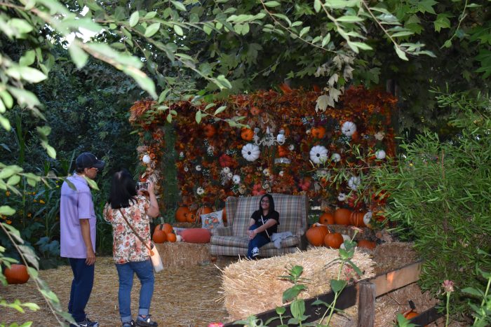 Garden Walk Through - Image 5