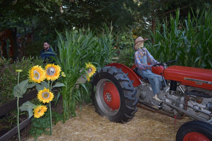 Tractors - Image 6