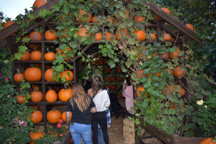 Garden Walk Through - Image 7
