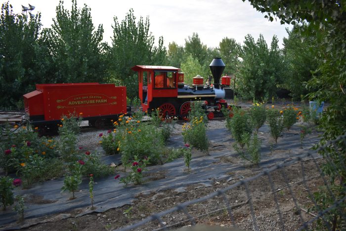 Big Train - Image 5