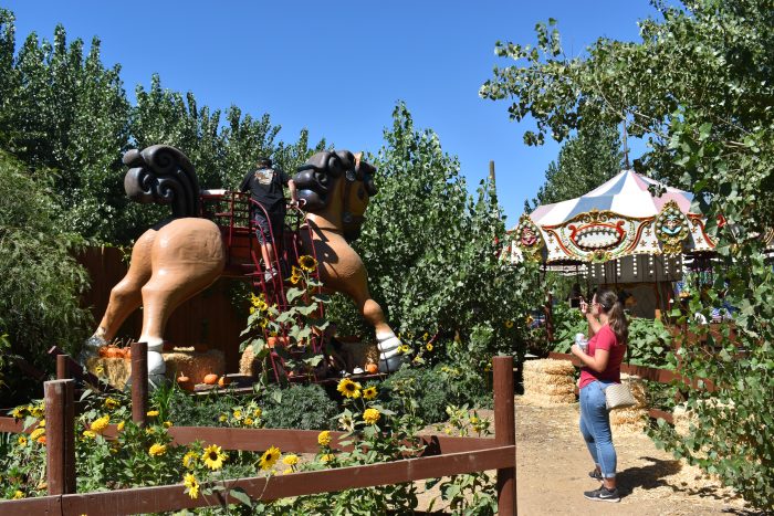 Giant Rocking Horse - Image 6