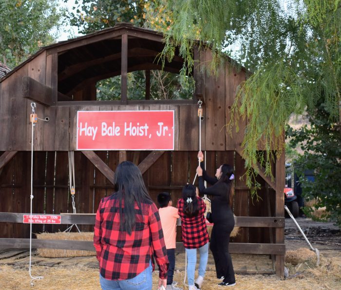 Hay Hoist - Image 4