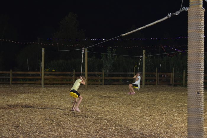 Mini Zip Line