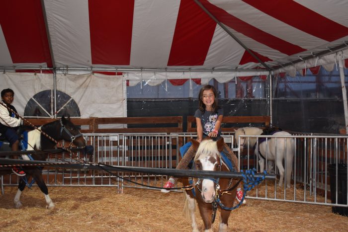 Pony Rides - Image 4