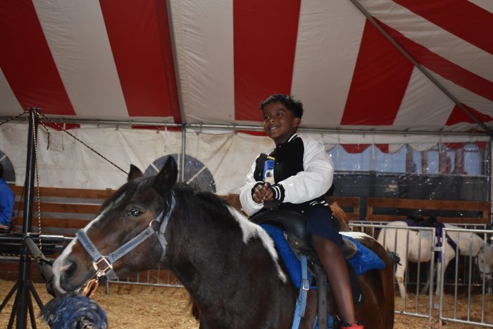 Pony Rides