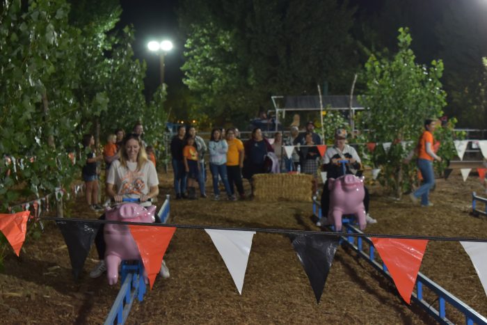 Pig Races - Ride On - Image 4