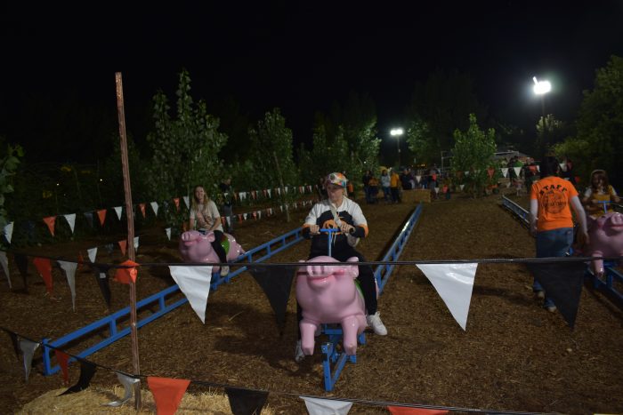 Pig Races - Ride On - Image 5
