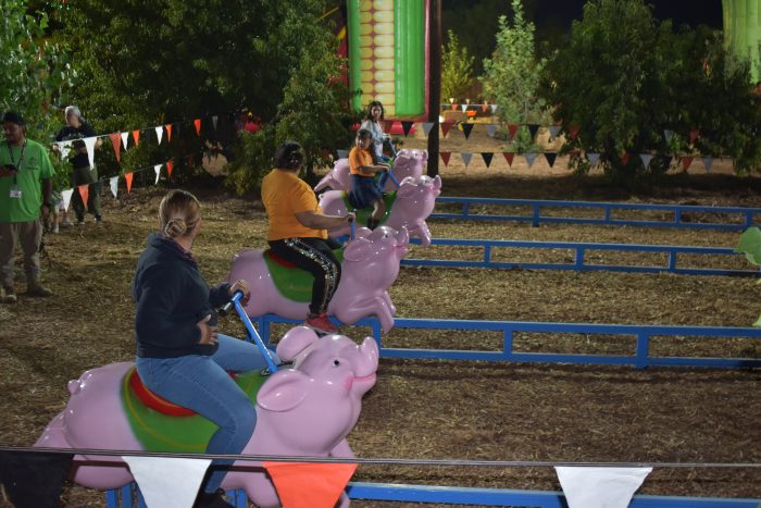 Pig Races - Ride On - Image 6