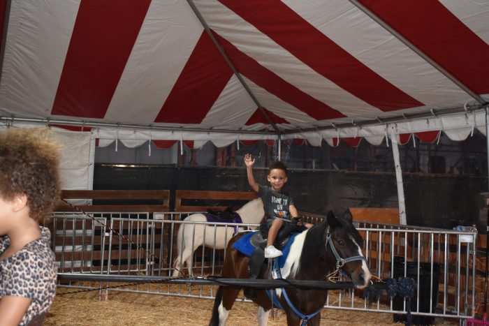 Pony Rides - Image 3