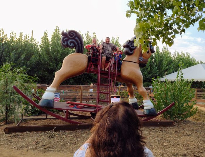 Giant Rocking Horse