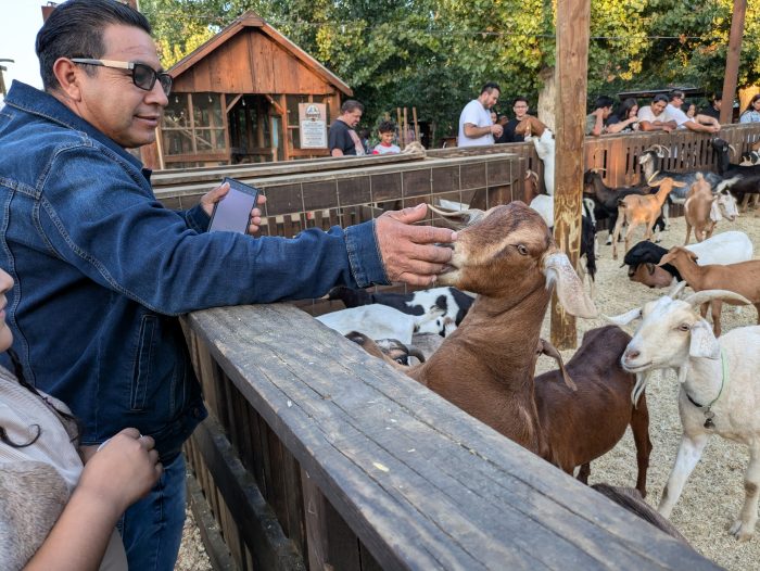 Petting Zoo - Image 8