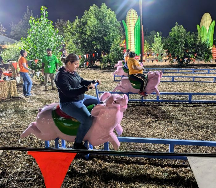 Pig Races - Ride On