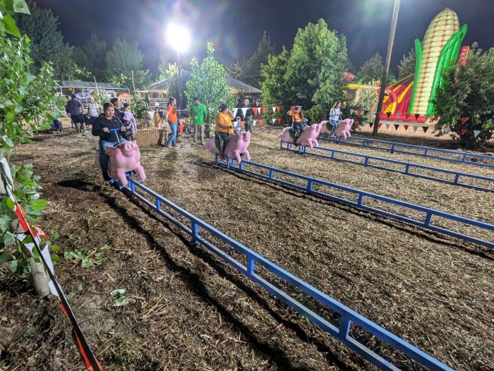 Pig Races - Ride On - Image 2