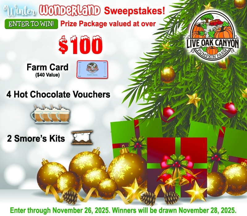 xmasSweepstakes2025 copy