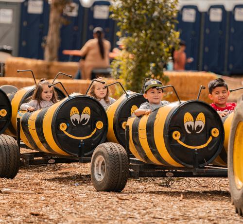 Bee-Train