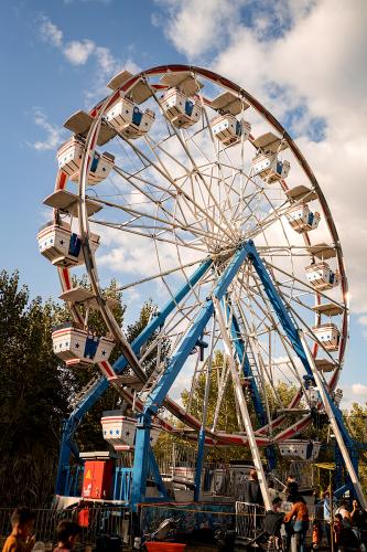 Century Wheel