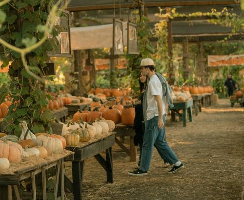 Couple with Pumpkins