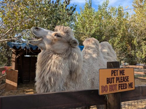 PXL 20251130 214539089