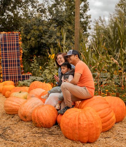 Pumpkin Family