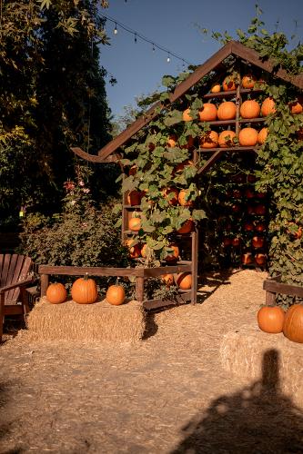 Pumpkin House