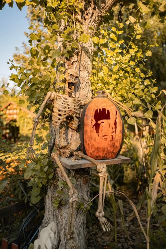 Pumpkin Skeleton
