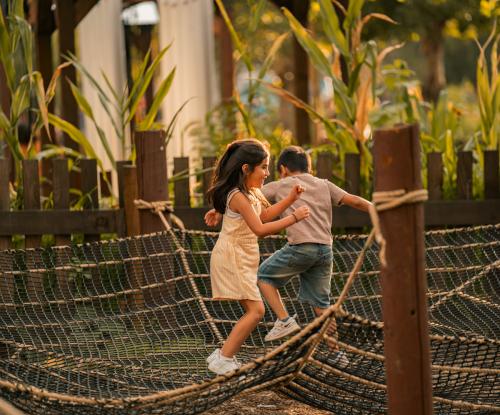 Spider Web Play nets